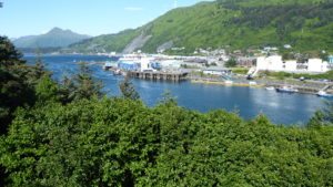 Kodiak from Near Island